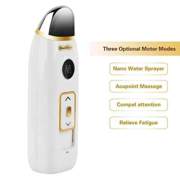 USB Rechargeable Mini Portable Facial Mister